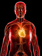 Erhoehtes Cholesterin Gesundheitscheck Vorsorgeuntersuchung Diagnoseklinik